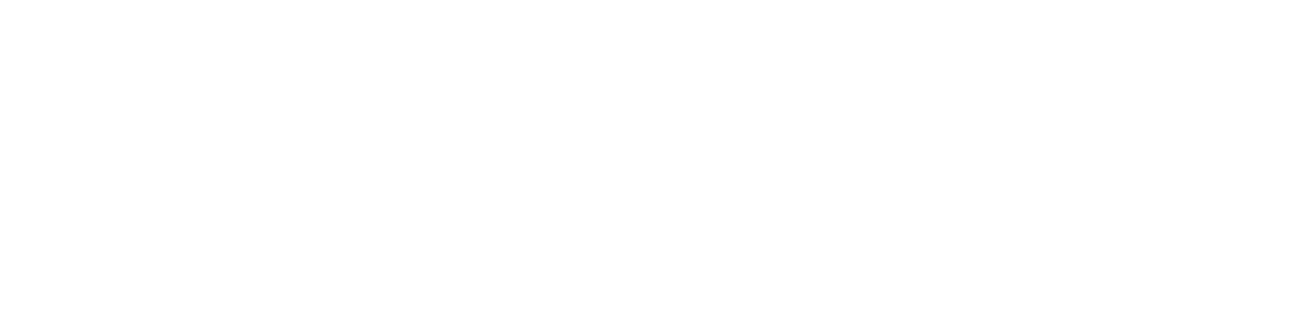 SYNNOVA · Control de Obra